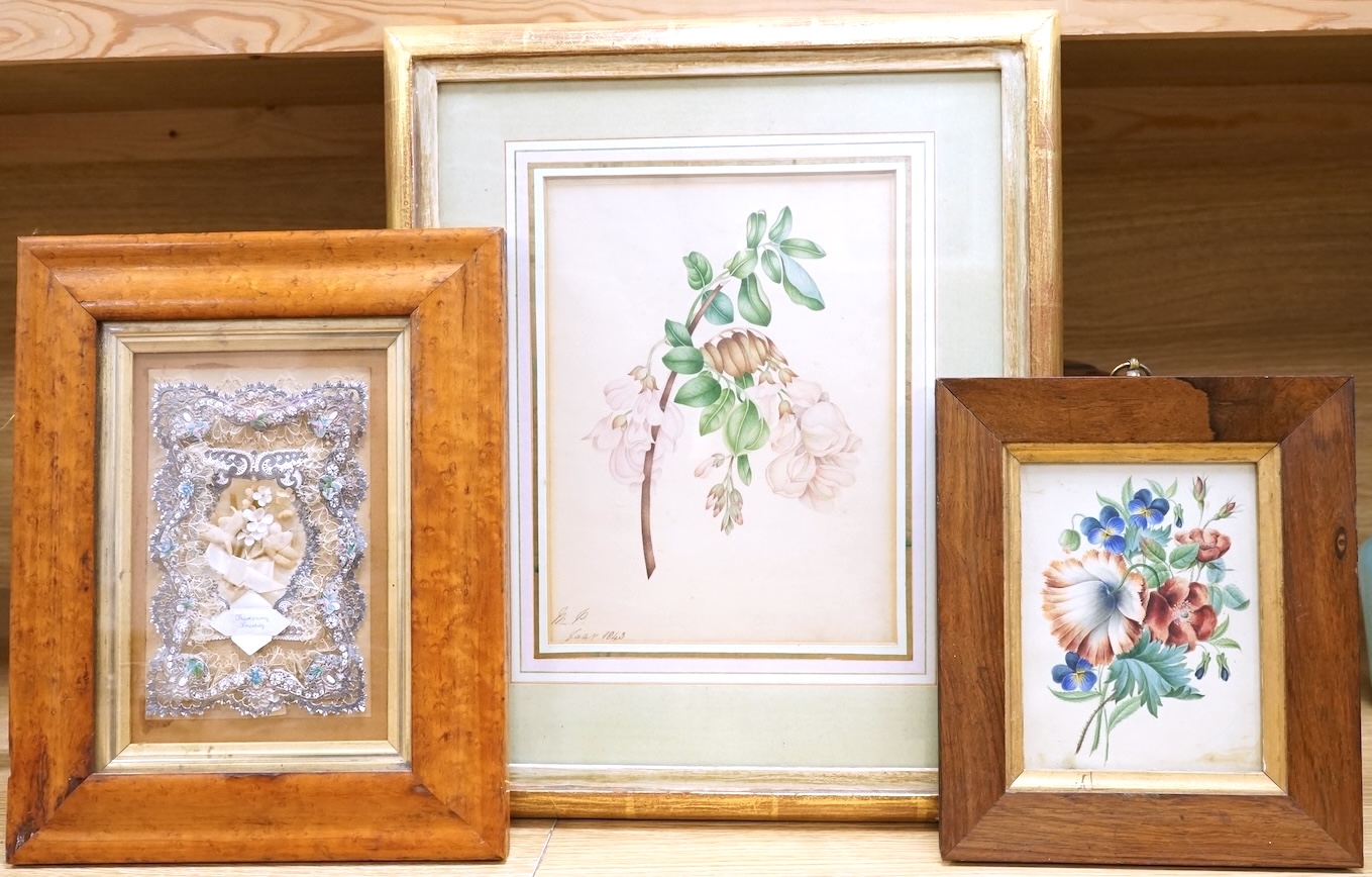Two 19th century botanical watercolours, one initialled M P and dated 1843, together with a cut paper and textile display, maple framed, largest 25 x 18cm